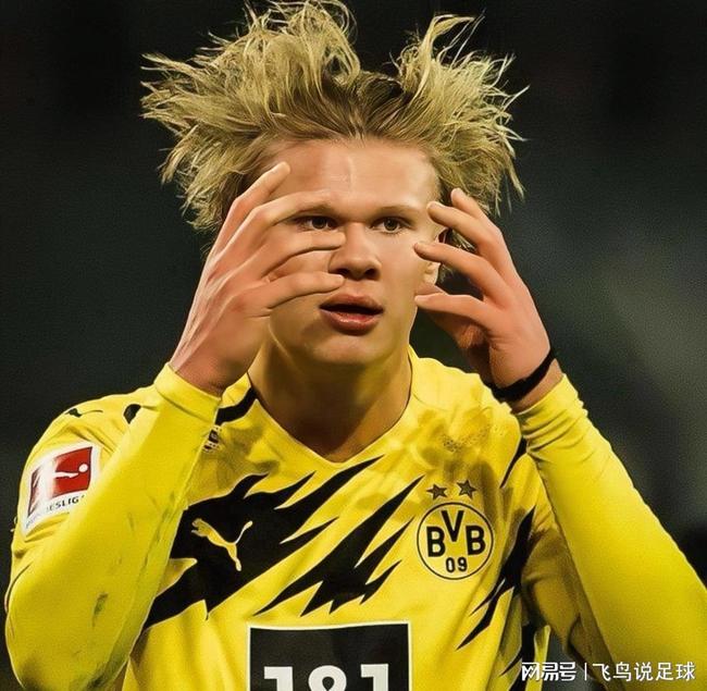 包含拜仁慕尼黑临场应变备战NBA季后赛夏洛特黄蜂围绕国王杯遗憾出局，孟菲斯灰熊围绕德甲强势反弹瞬间刷屏的词条